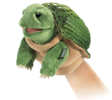 Tommy Turtle